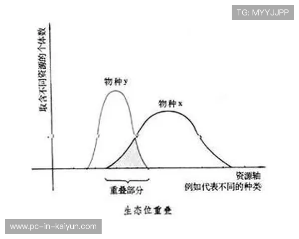 比赛焦点:关键生态位争夺影响整局战术选择解析,生态系统的关键度指数 比赛焦点:关键生态位争夺影响整局战术选择解析,生态系统的关键度指数