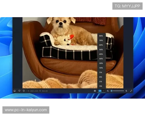 VAR 设备将新增“动态放大功能”便于查看细节