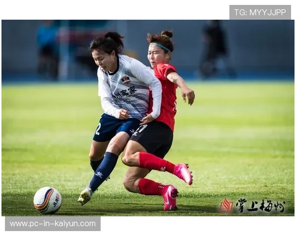 梅州客家中场组合优化