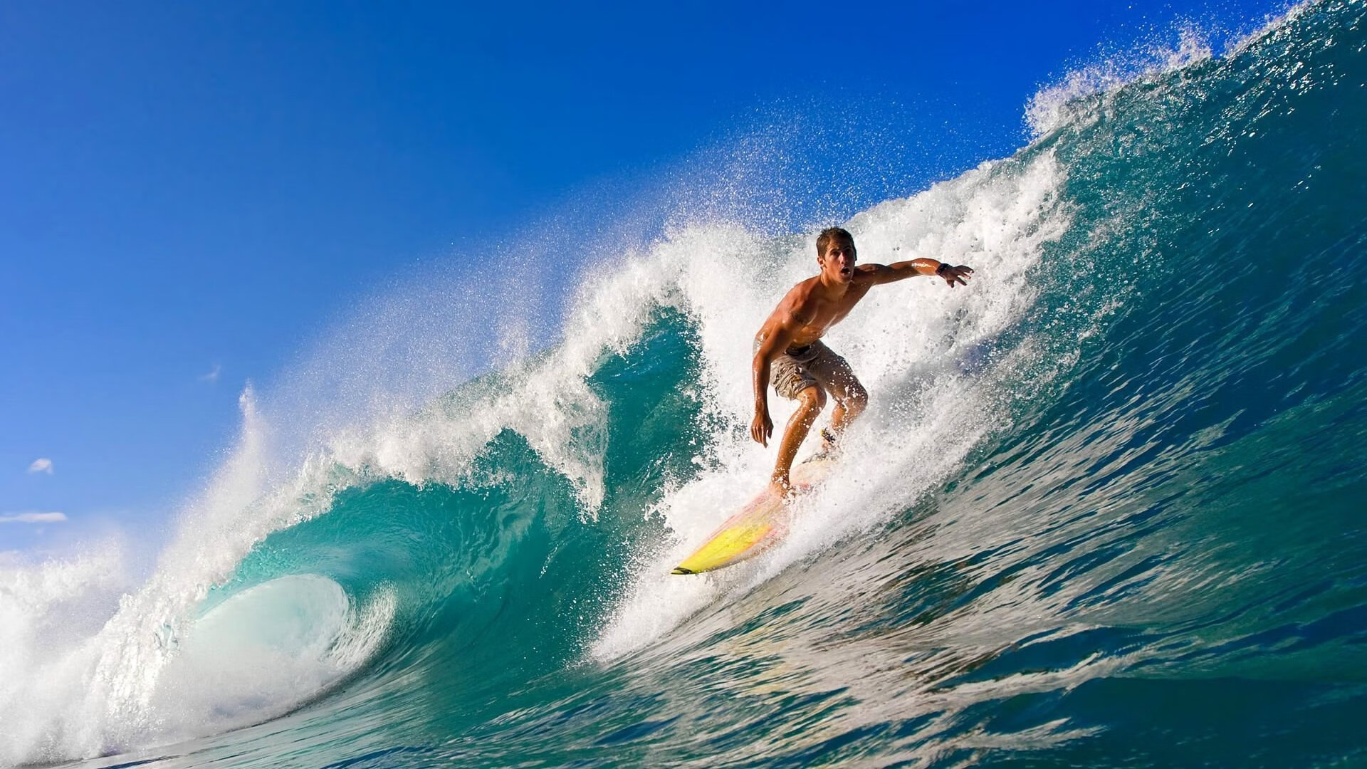 中国跳水队在国际赛事中继续保持强势表现，中国跳水队跳水项目